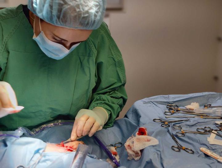 Advanced Soft Tissue Surgery