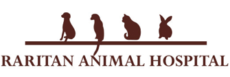 Link to Homepage of Raritan Animal Hospital