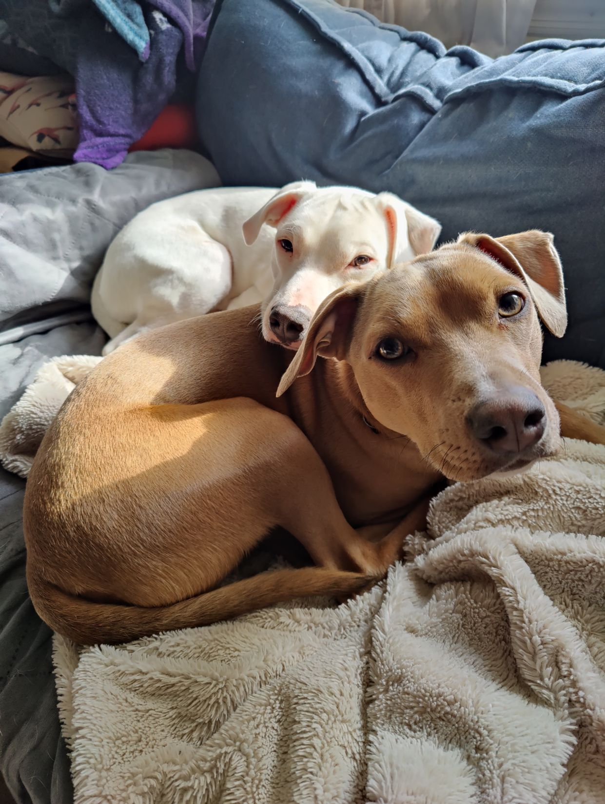 Education and training programs