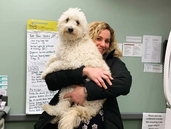 Preventive Care for Dogs