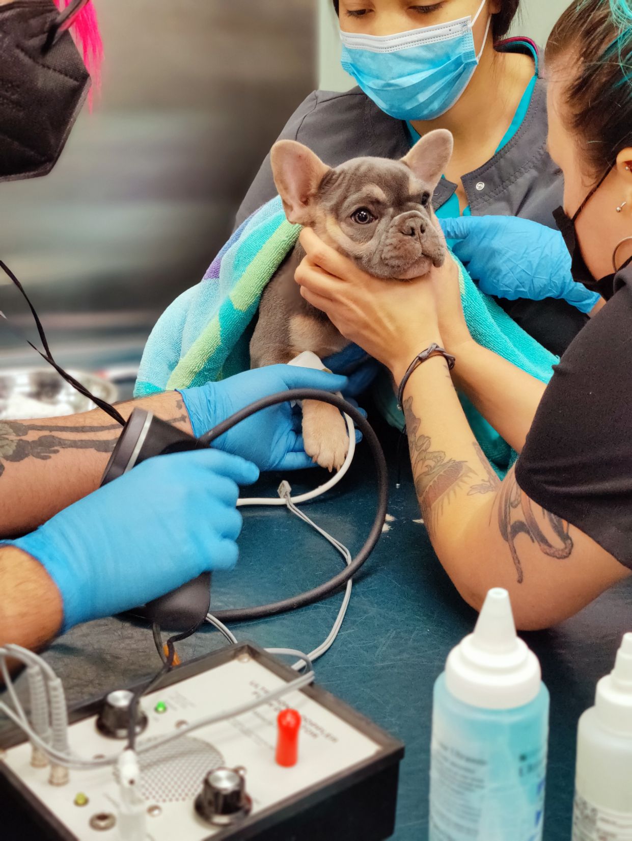 Comprehensive health and wellness benefits